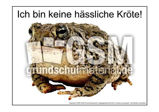 Hässliche-Kröte-2.pdf